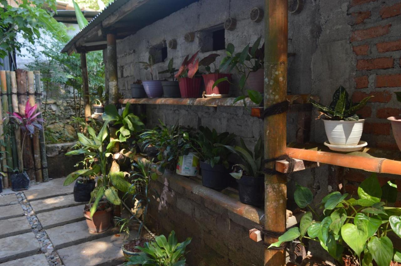 Labuan Bajo Mahoni Guesthouse Zewnętrze zdjęcie
